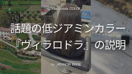話題の低ジアミンカラー『ヴィラロドラ』の説明