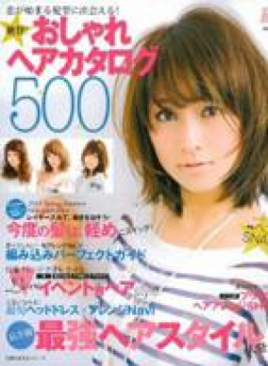Ray特別編集ﾍｱｶﾀﾛｸﾞ５00