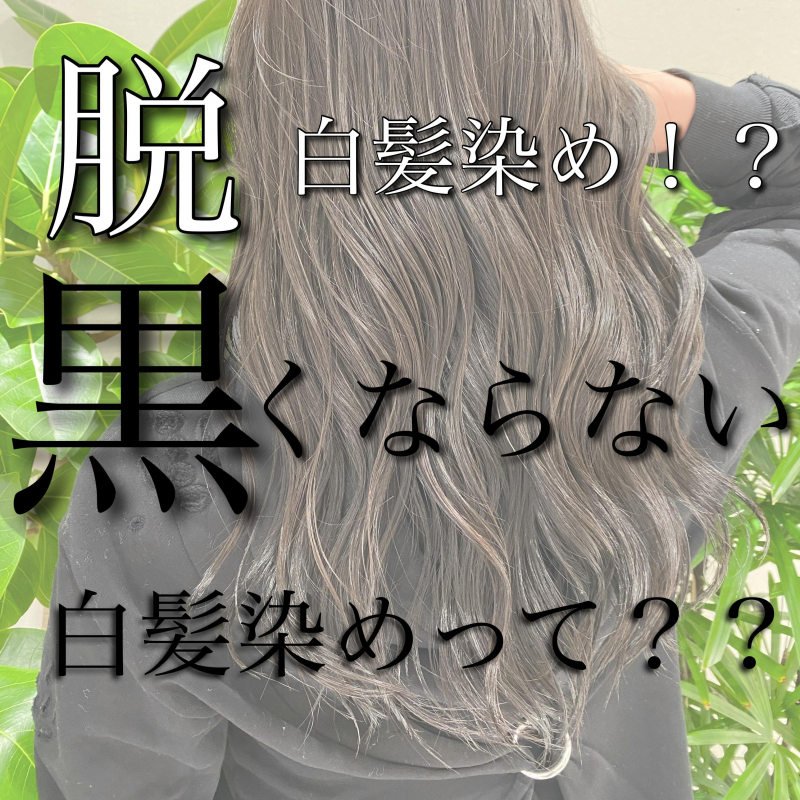 【脱白髪染め！？】僕しか出来ない黒く染めなくていい白髪染めって！？