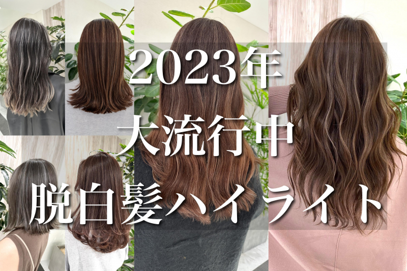 【2023年大流行中　脱白髪ハイライトを日本で一番分かりやすく解説！？】