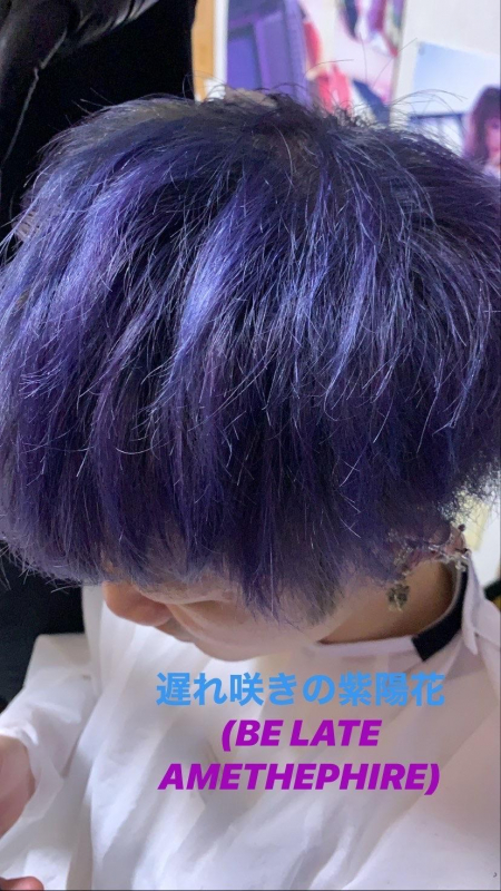 紫陽花カラー