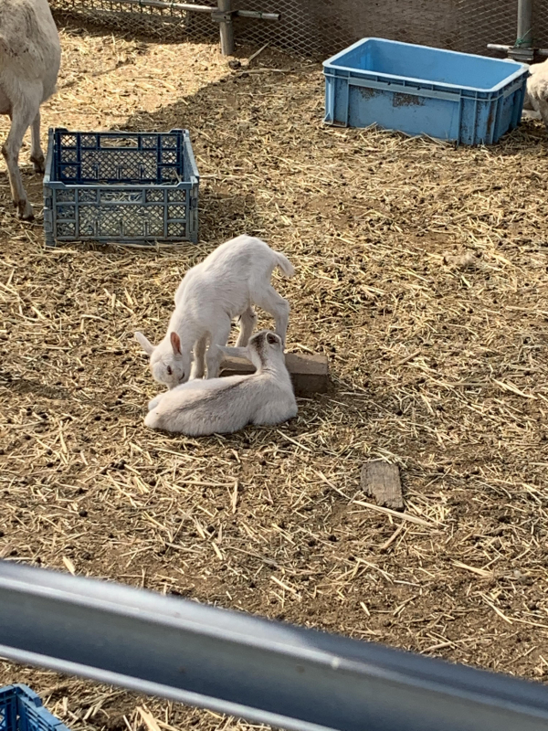 寒くなってきました????