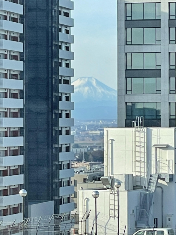 今年もよろしくお願いします！