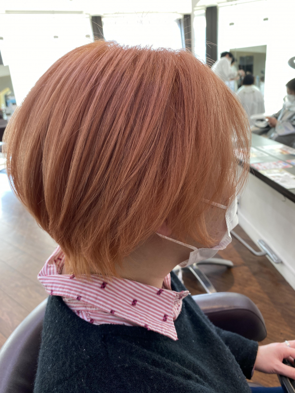 オレンジカラー