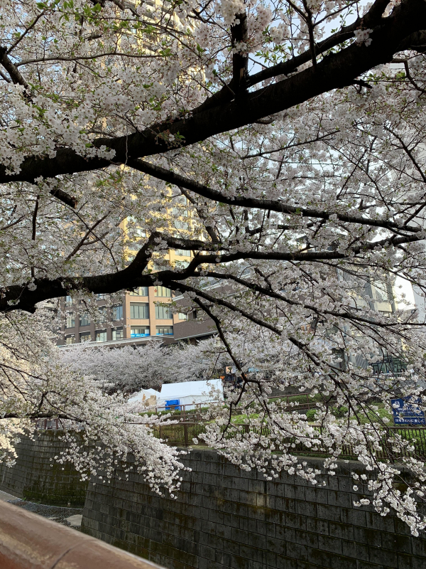 春