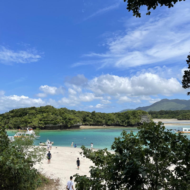 夏が待ち遠しい、、