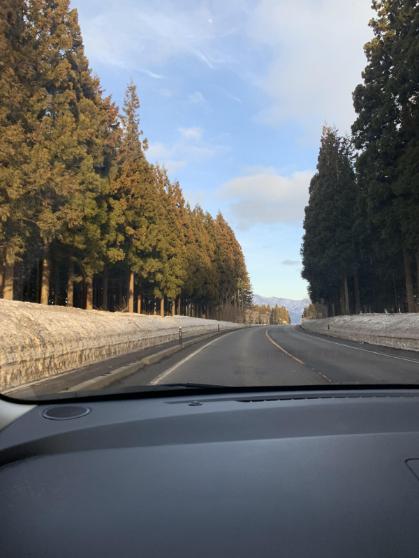 気分転換にはドライブ！