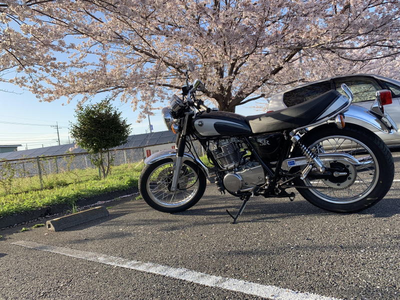春を探しに。