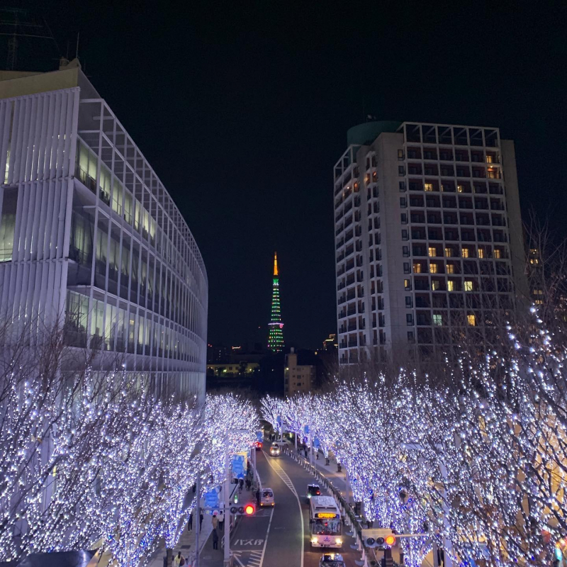 今年も近づいてきたクリスマス♡