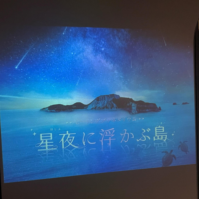 癒しの空間♡