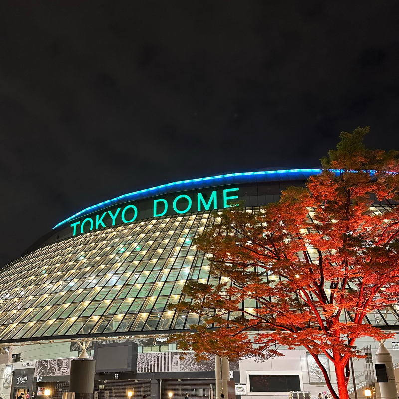 東京ドーム！