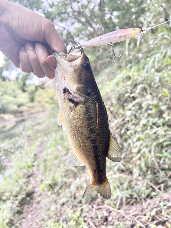 休日は釣りに行こう