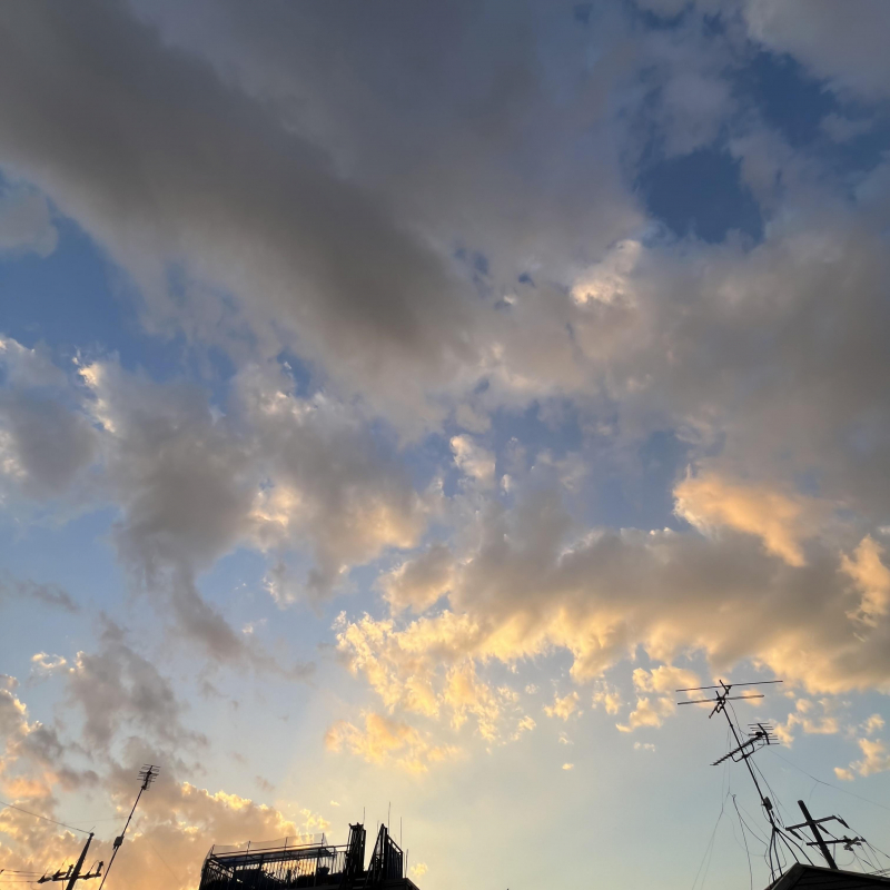 冬の夕焼け