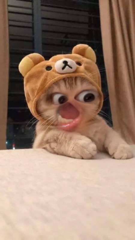 日々たのしく生きてます