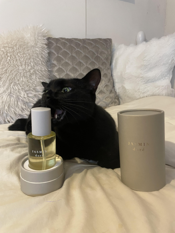 LOA THE OIL