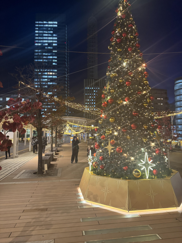 年末イルミネーションも始まってきてます！