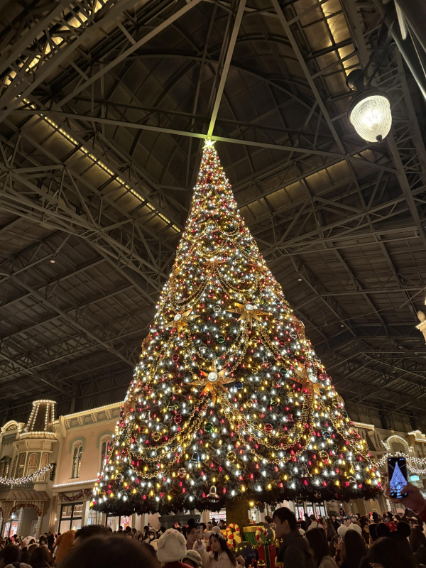 クリスマスディズニー