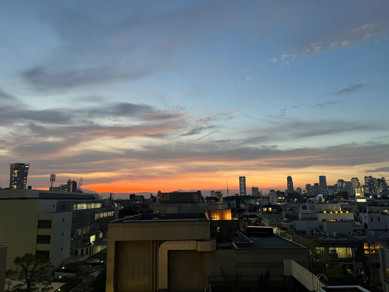 夕日