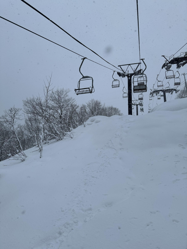 全部雪のせいだ