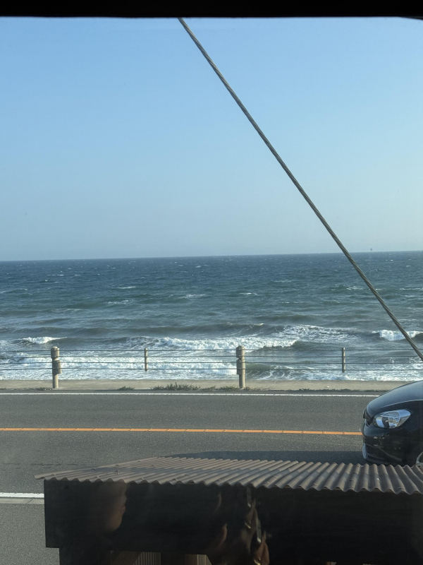 海