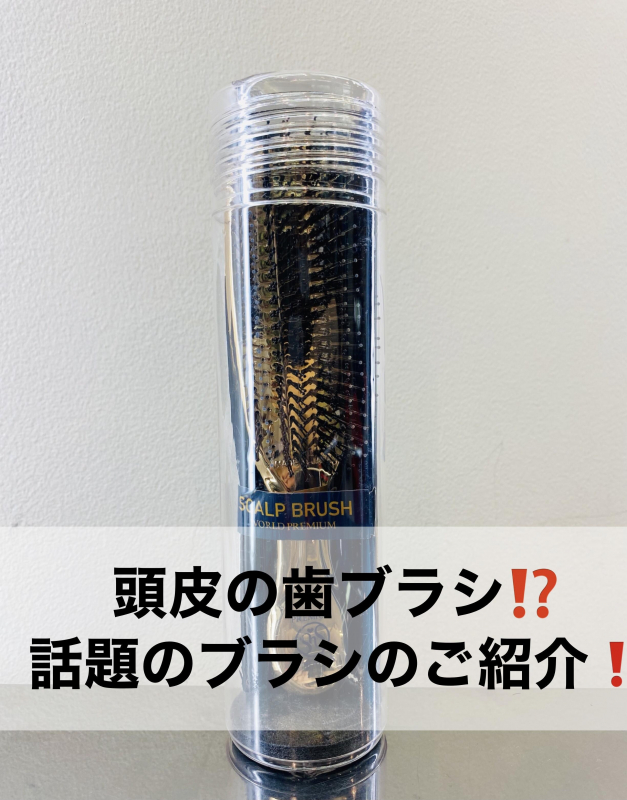 頭皮の歯ブラシ⁉️話題のスカルプブラシのご紹介❗️