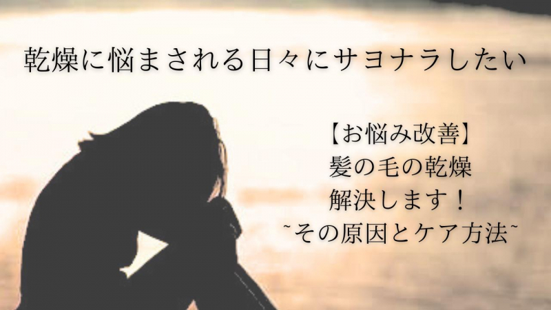 【髪の乾燥対策】パサつく髪の毛とはもうおさらば！~原因とケア方法~