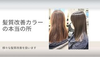 【髪質改善カラー】くせ毛を治して艶を手に入れる3つの方法