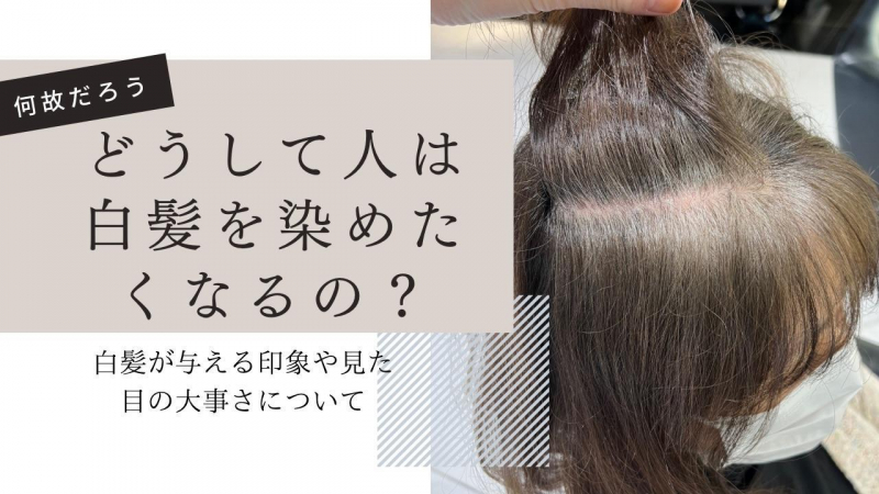 どうして人は白髪を染めたくなるのだろう？見た目が大事な理由。