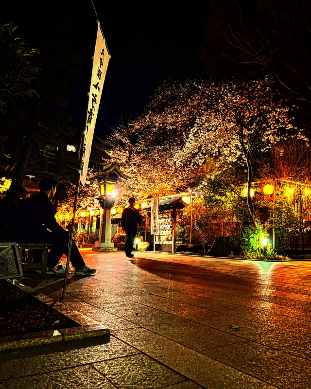 神社と桜