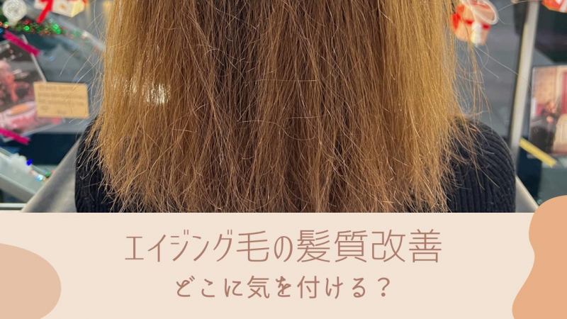 【エイジング毛のケア方法】どこに気を付けるのか？デイリーケアは？