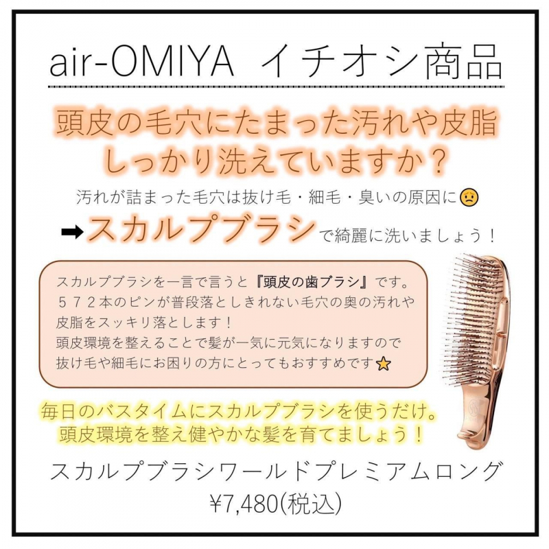 スカルプブラシ