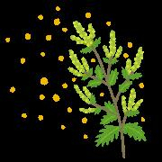 春のトラブル対策！髪と頭皮にも花粉対策を！