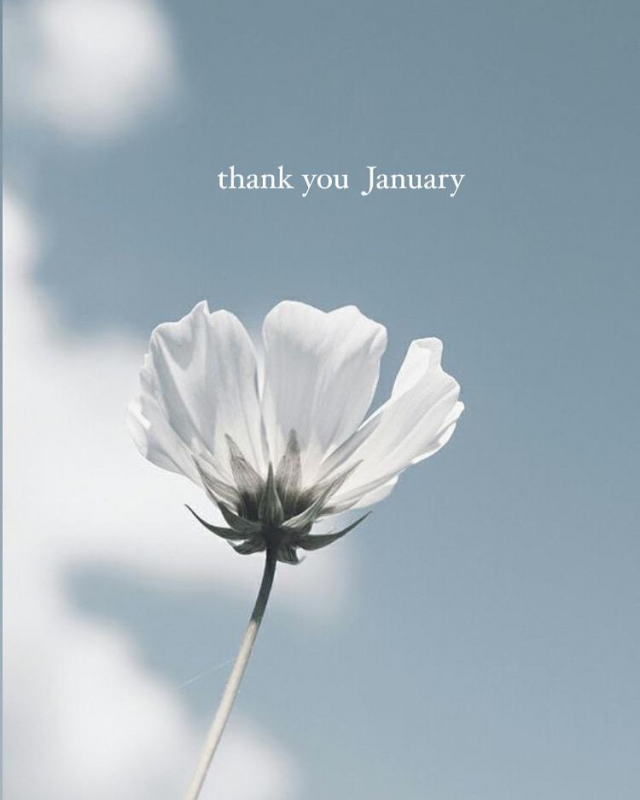 thank you January ＊