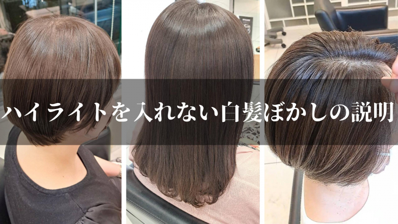 ハイライトを入れない白髪ぼかしの説明