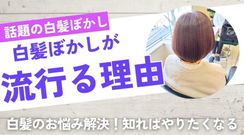白髪ぼかしが流行る理由