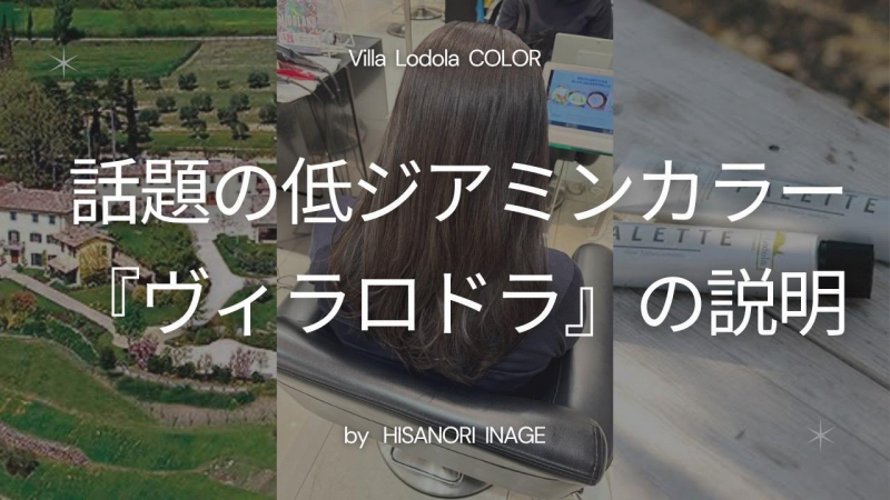 話題の低ジアミンカラー『ヴィラロドラ』の説明
