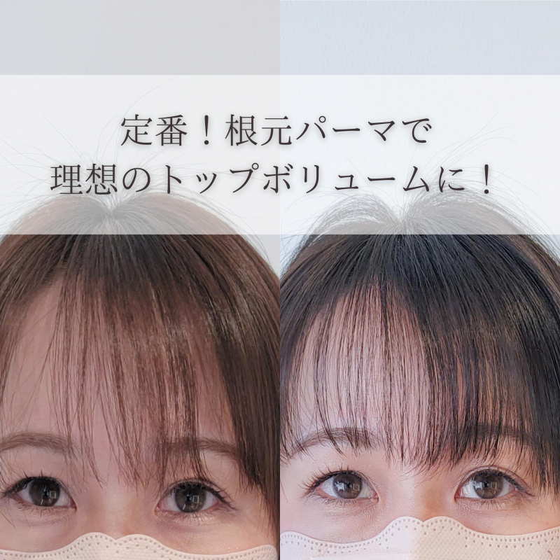 福岡天神でプリカール。定番化メニューで理想のトップボリュームに。
