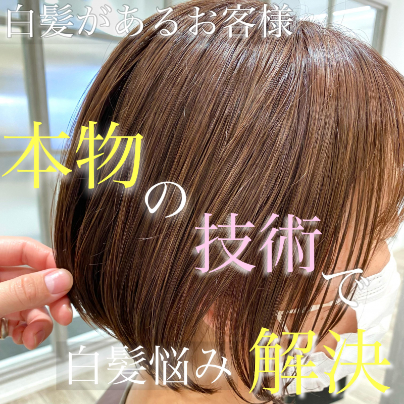 【白髪を明るく染めるカラー！？】白髪と向き合う美容師オススメのカラーの仕方！！ 記事のアイキャッチ